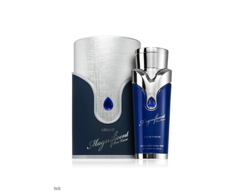 Armaf  Мужская парфюмерная вода Magnificent Blue Pour Homme , 100 мл