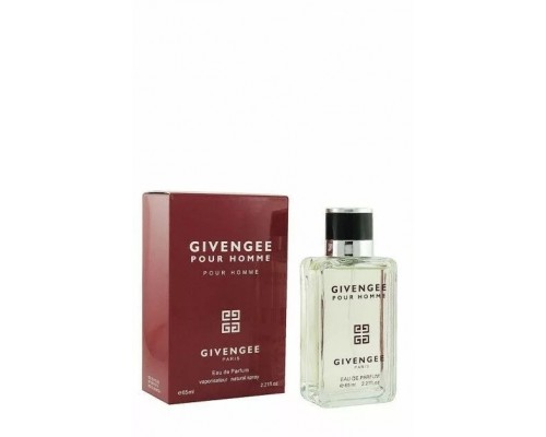 Мужской парфюм Givengee Pour Homme,  65 ml