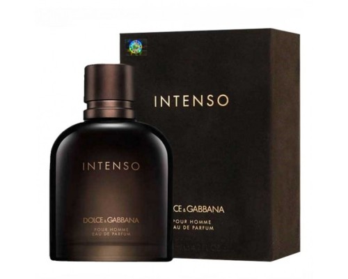 Парфюмерная вода Dolce&Gabbana Intenso Pour Homme мужская (Euro A-Plus качество люкс)