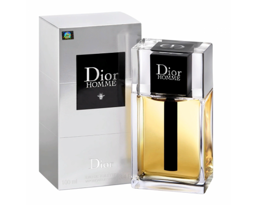 Туалетная вода Christian Dior Homme мужская (Euro A-Plus качество люкс)