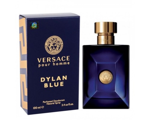Парфюмерная вода Versace Dylan Blue мужская (Euro A-Plus качество люкс)